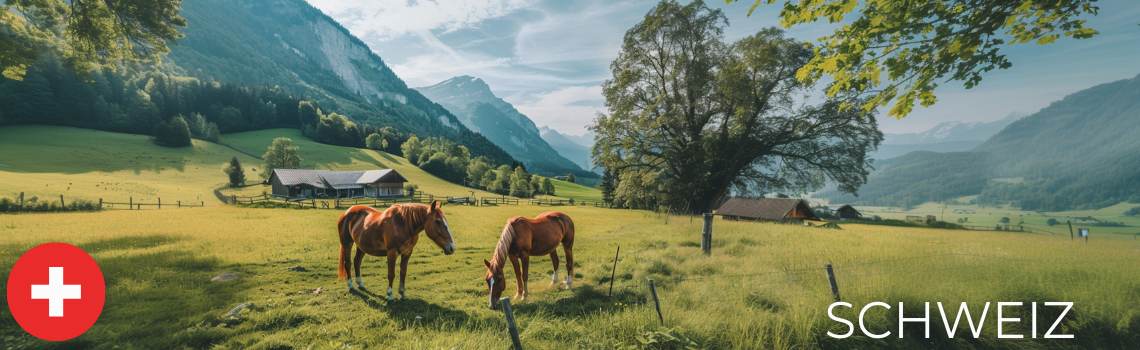 OKAPI Händler in der Schweiz