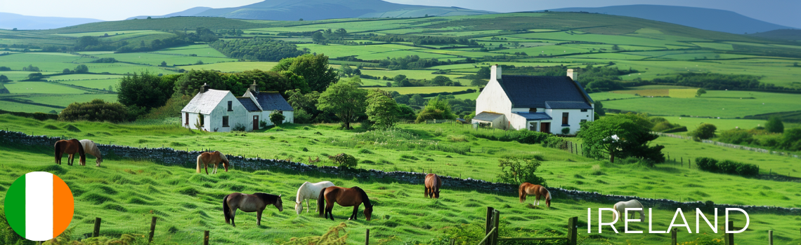 OKAPI Dealer in Ireland