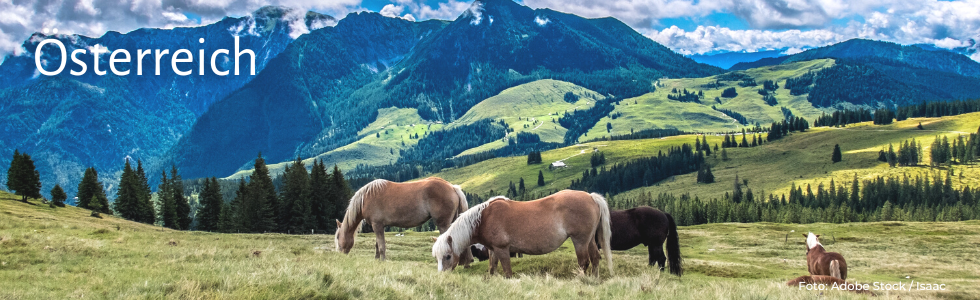 Österreich händler banner